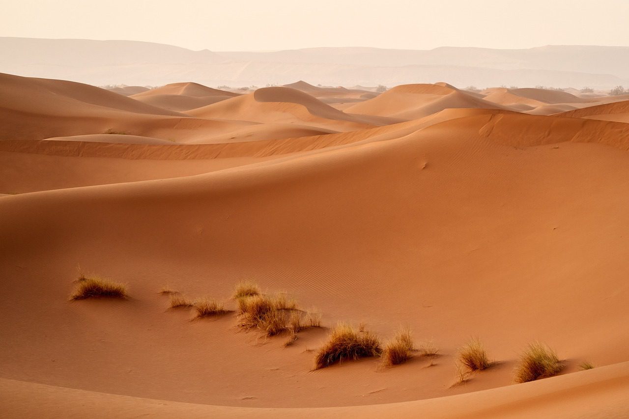 bibis-lebenselixier-sahara-hintergrund